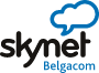 Skynet Homepage Logo Skynet